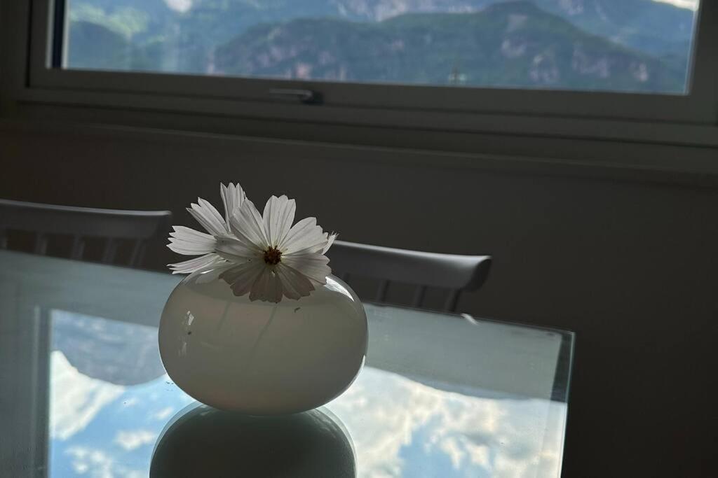 Haus Hafner Sonniges Apartment 特尔拉诺 外观 照片